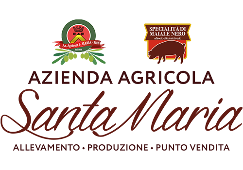 Santa Maria
